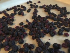 1/2 dried blueberry gummy buttons